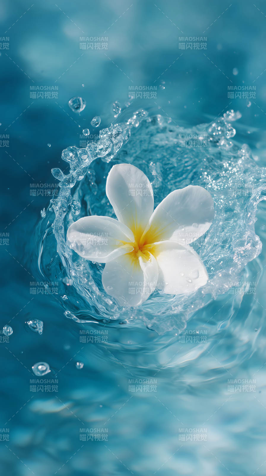 花朵入水瞬间景象图片