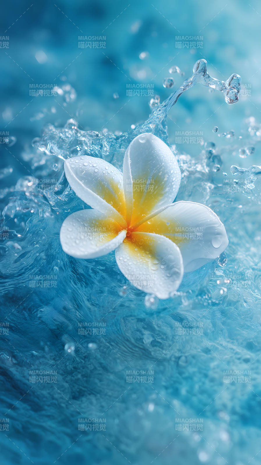水花与花朵的美丽瞬间图片