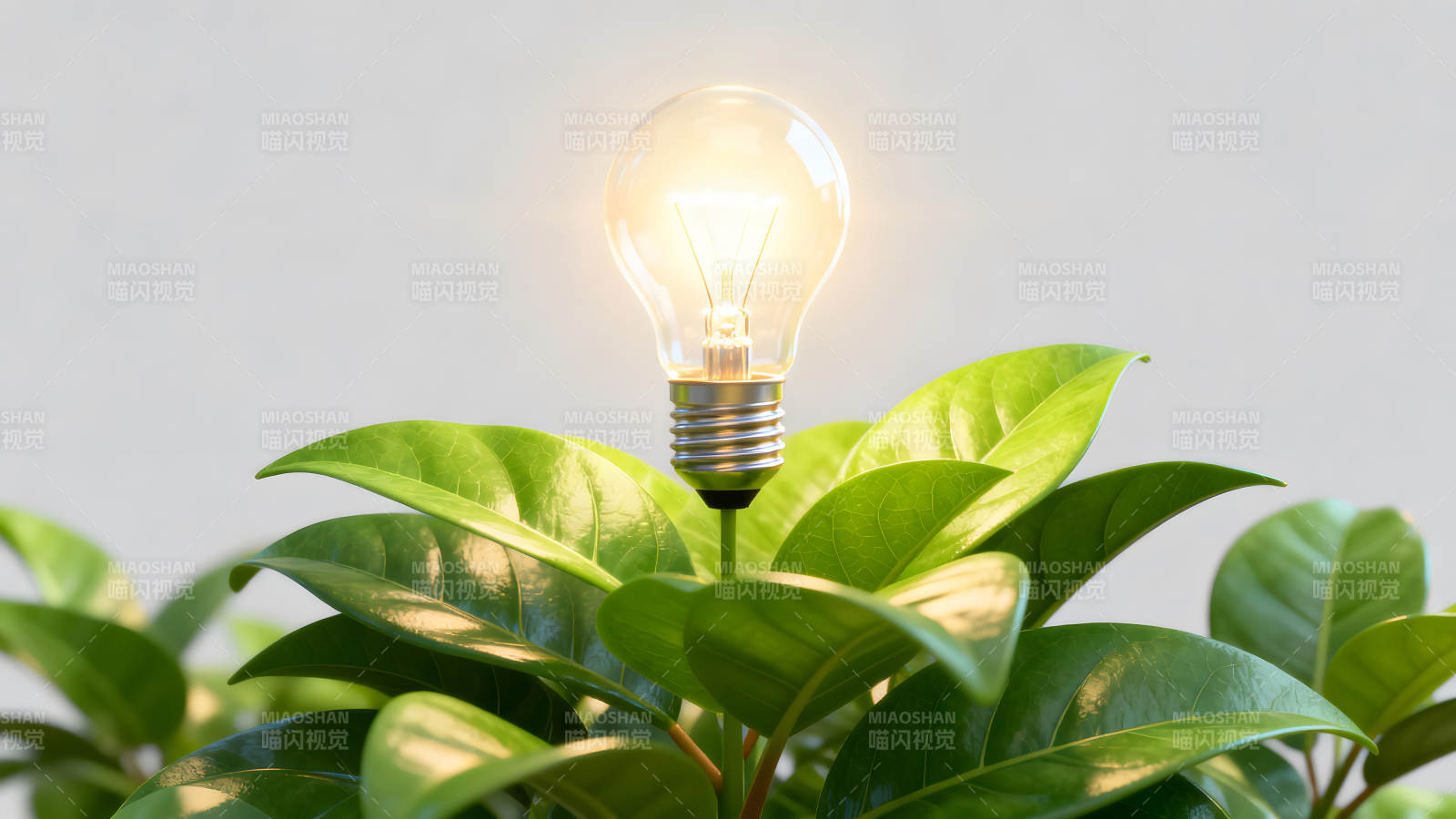 发光灯泡与绿植图片