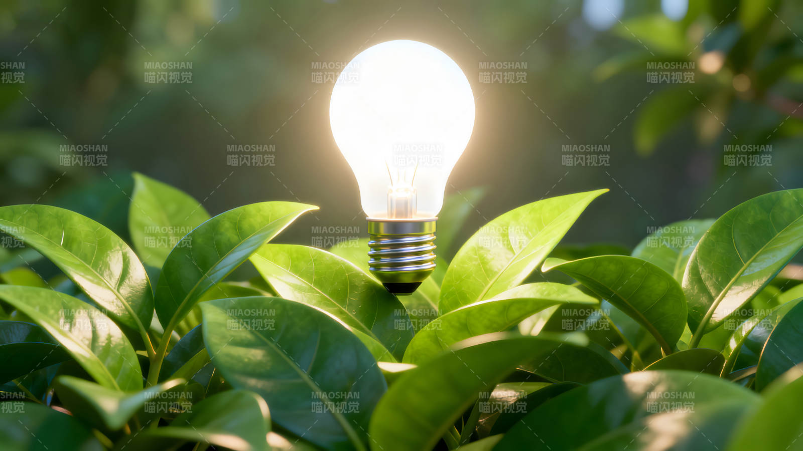 发光的灯泡在绿叶中环保概念图片