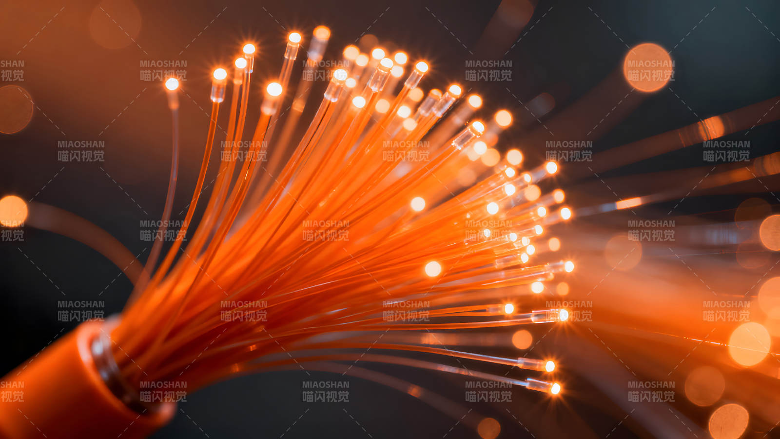 光纤传输网络数据高速通道图片