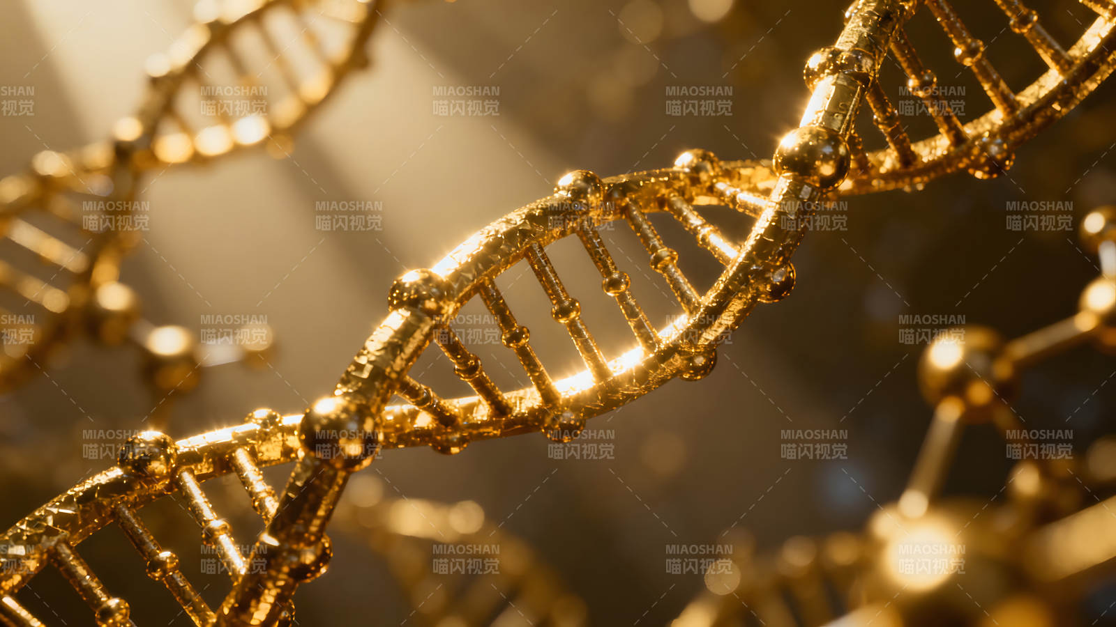 金色DNA螺旋结构艺术渲染图片