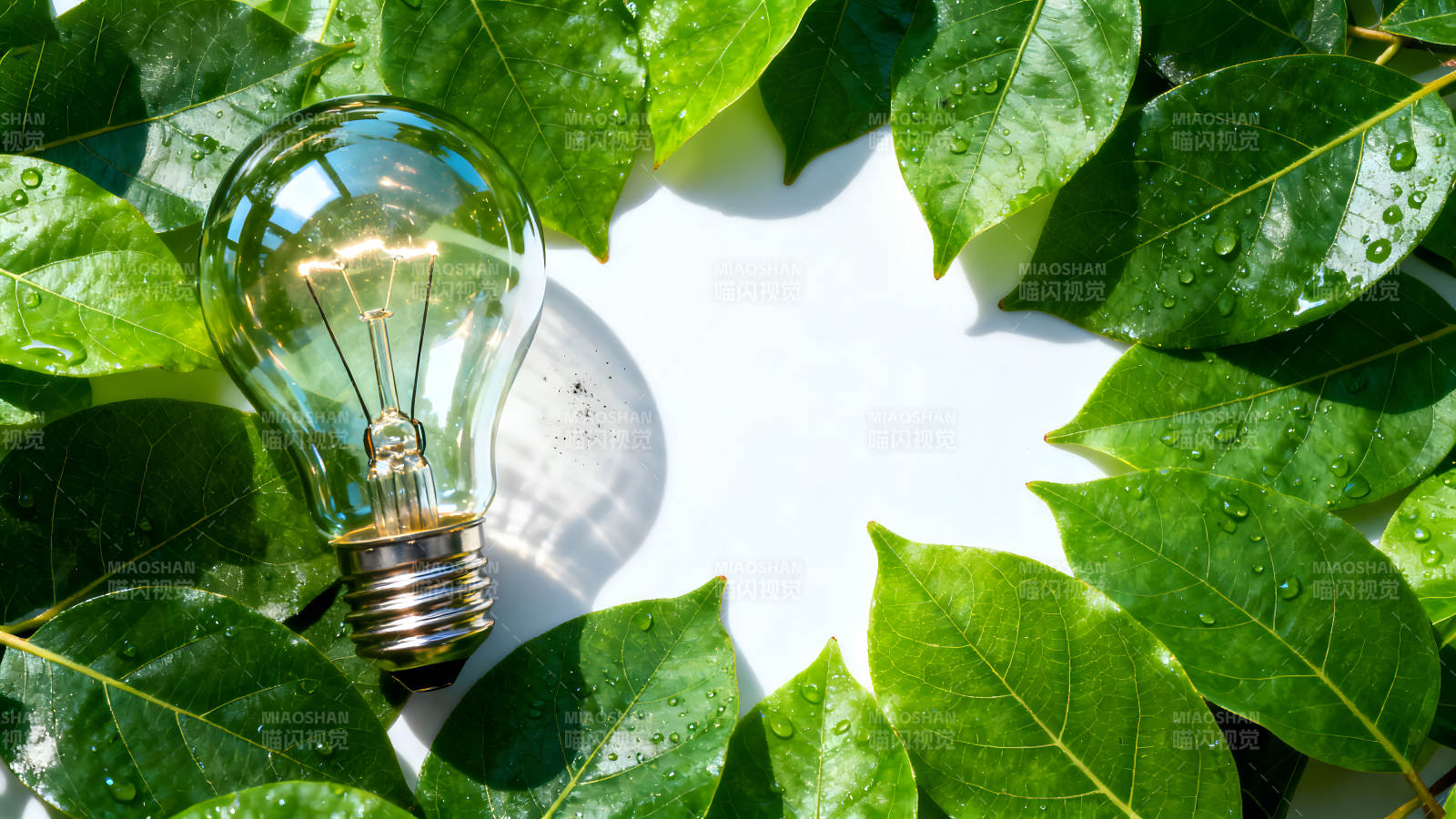 环保节能的灯泡和绿色叶子图片