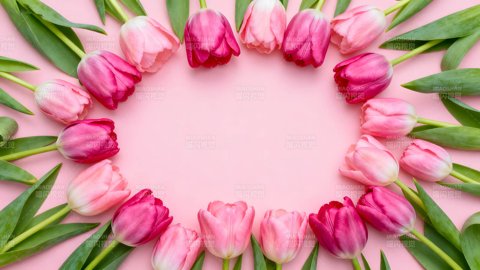 粉色郁金香花环清新唯美图片