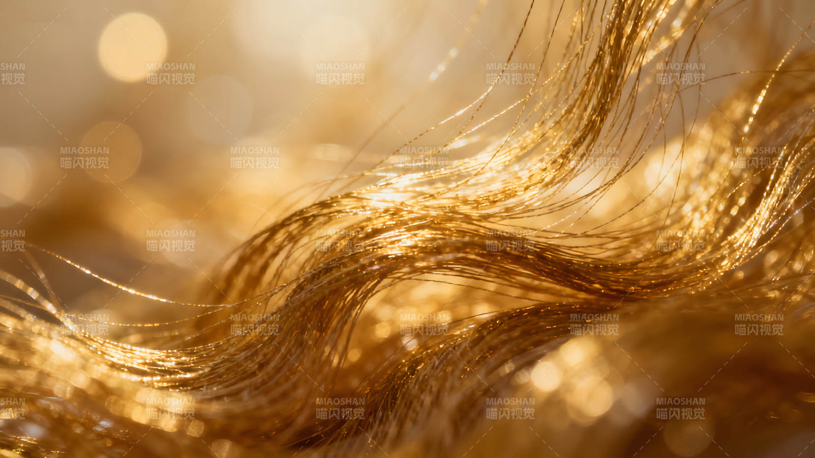 金发特写阳光闪耀图片