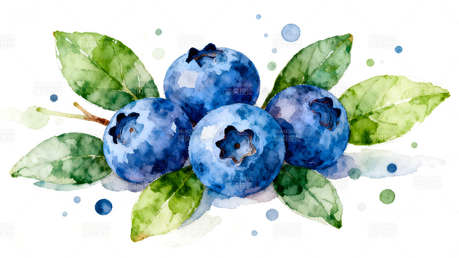 水彩风格的蓝莓图片