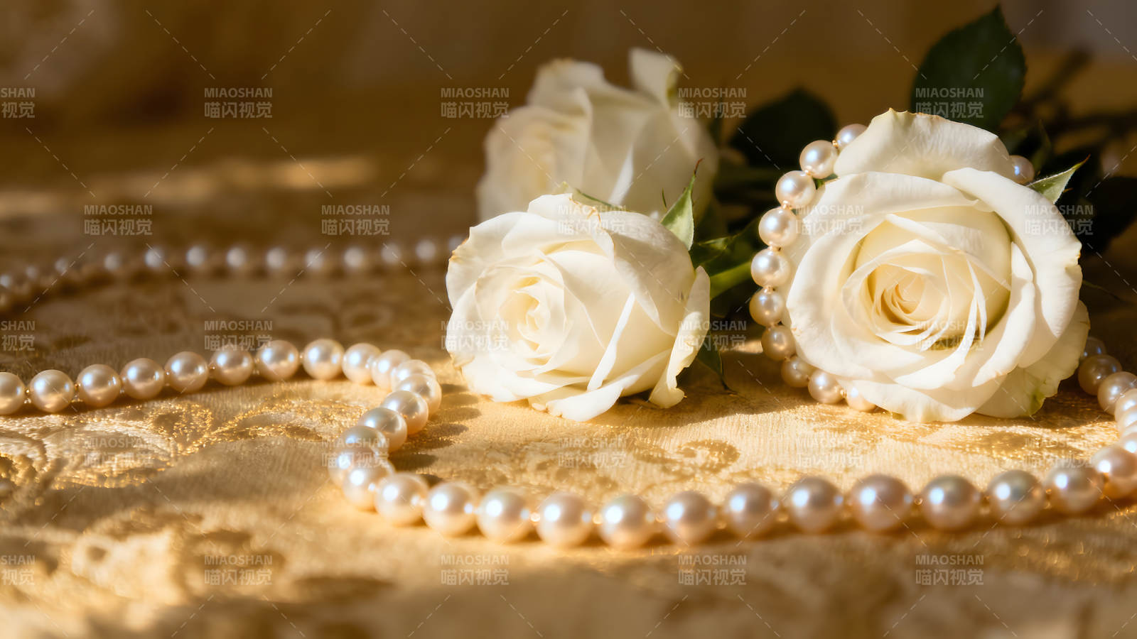 白玫瑰与珍珠项链的优雅静物图片