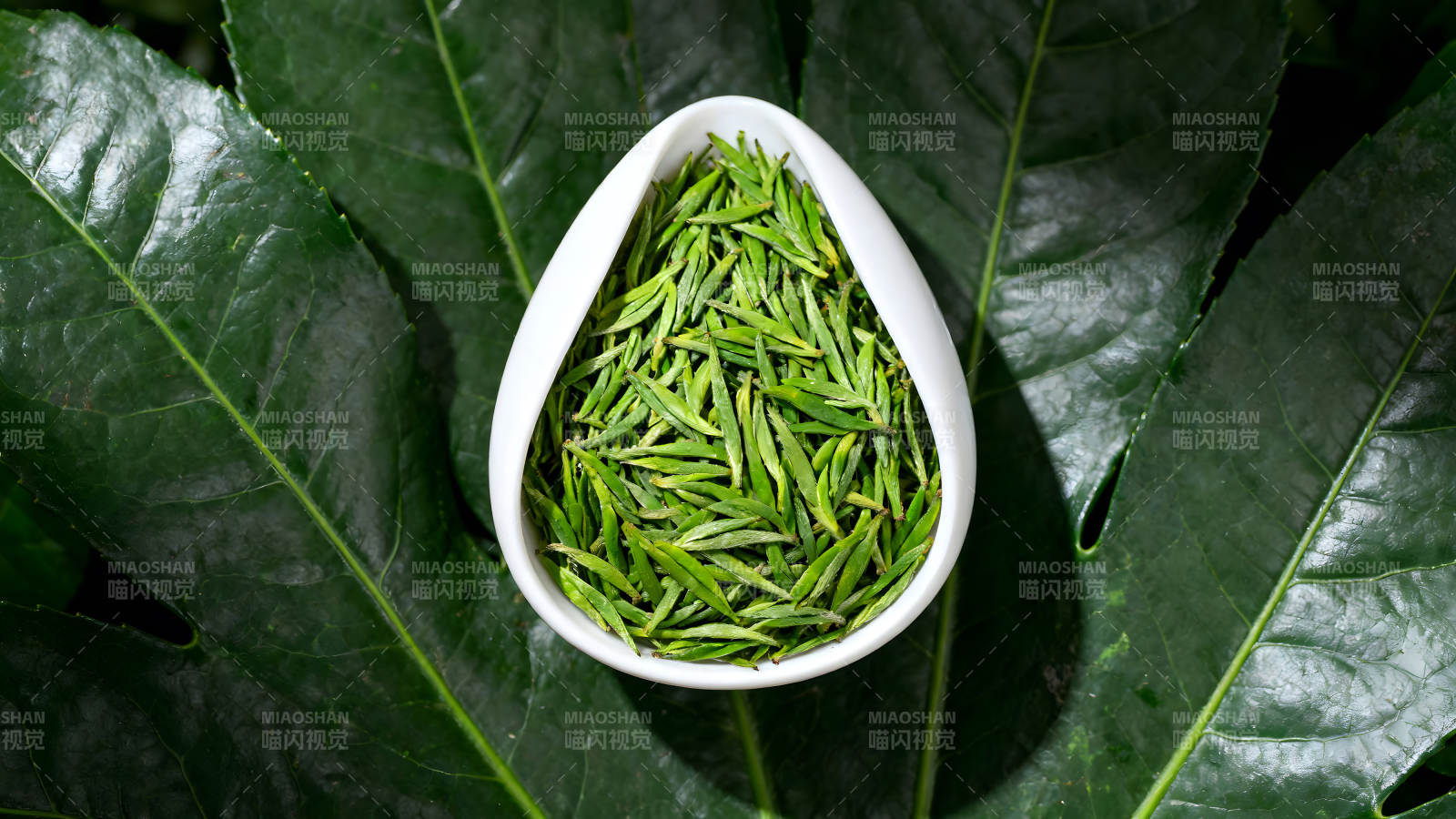 茶叶与叶子的搭配图片