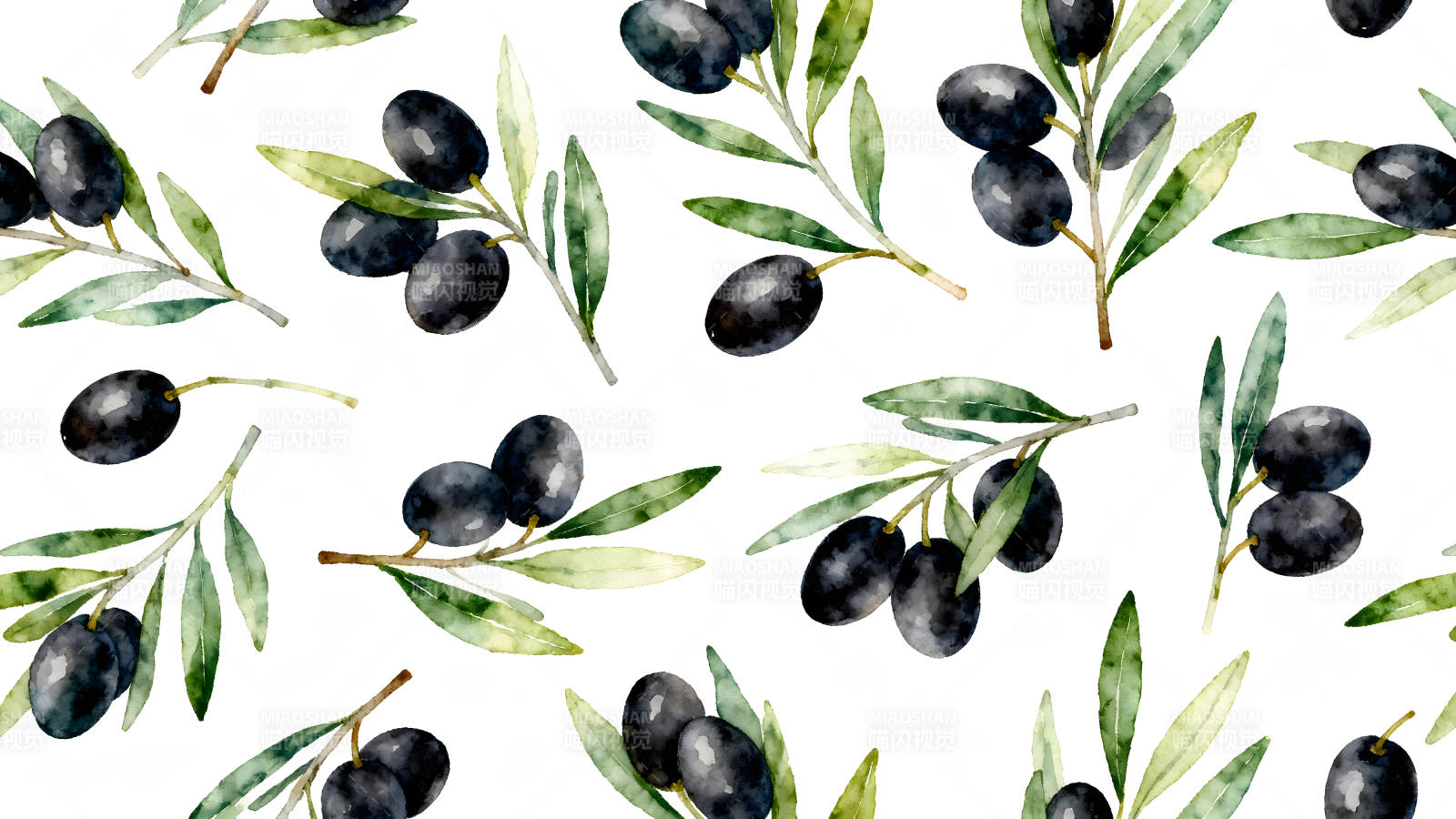 水彩橄榄枝图案图片