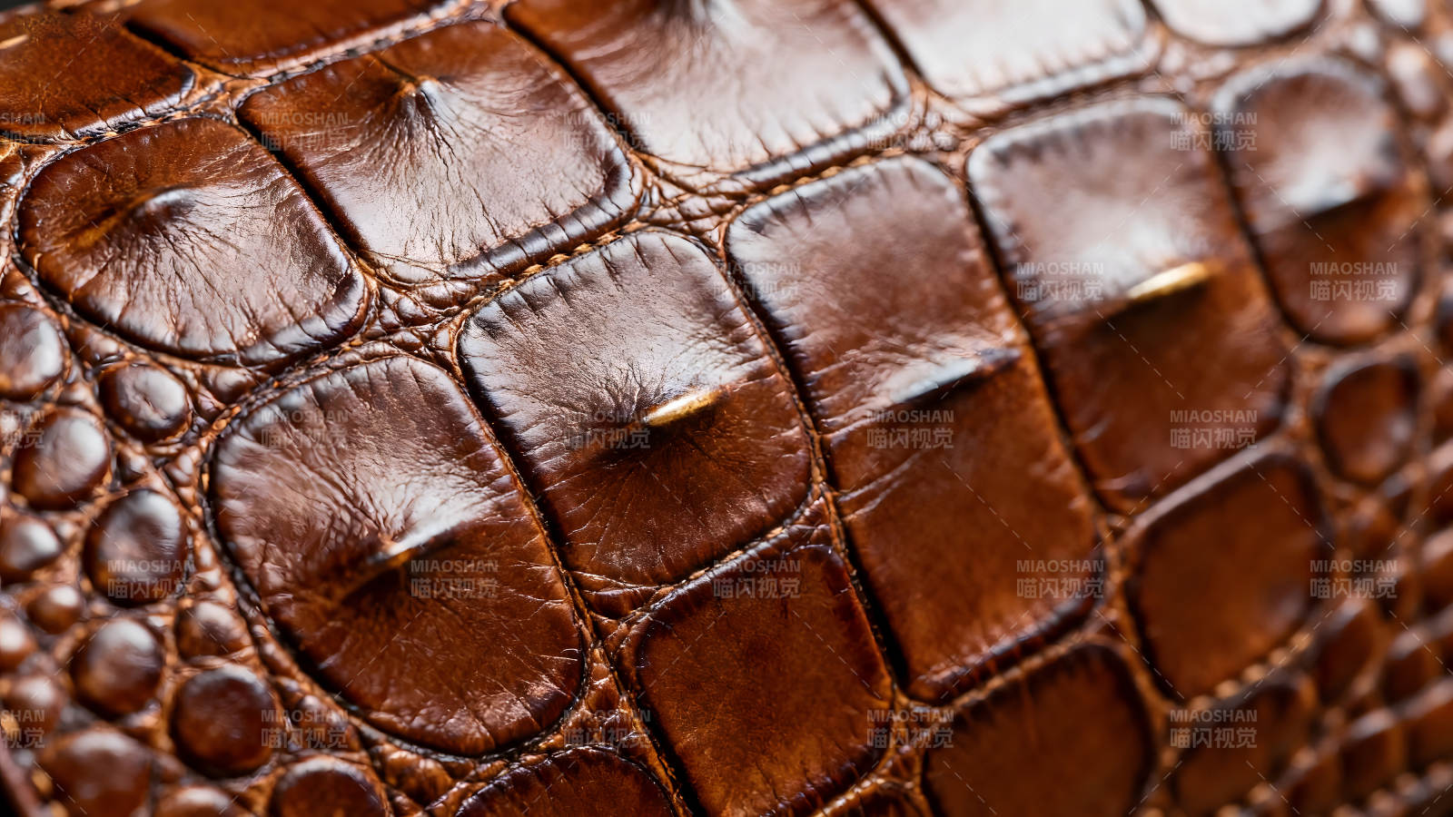 棕色皮革特写质感十足的鳄鱼皮纹理图片
