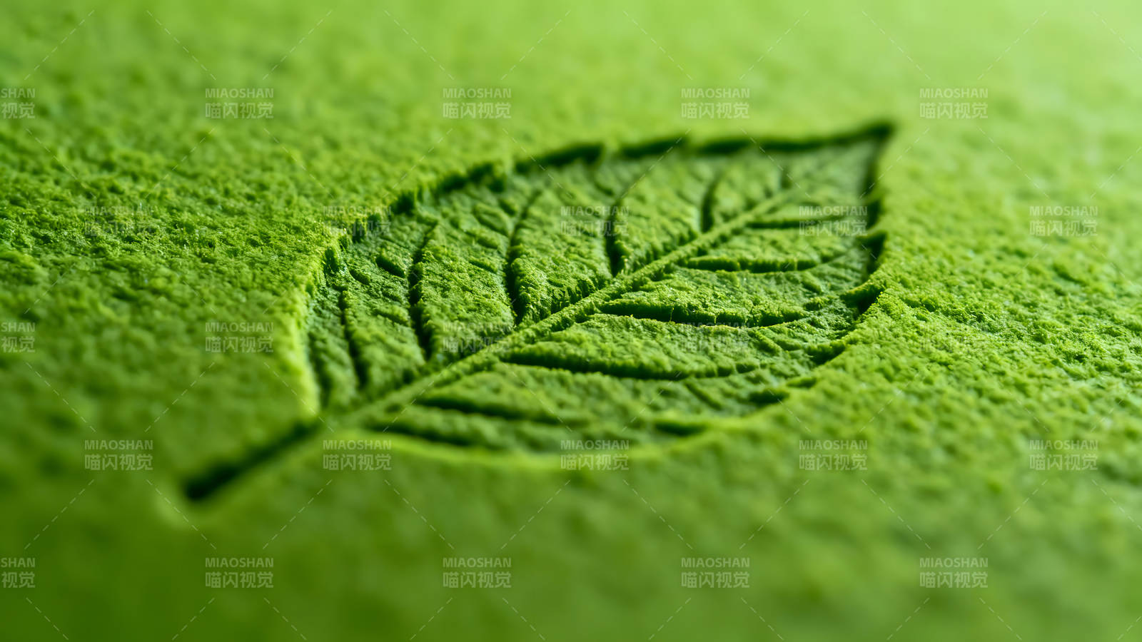 抹茶叶子特写静谧质感绿意盎然图片
