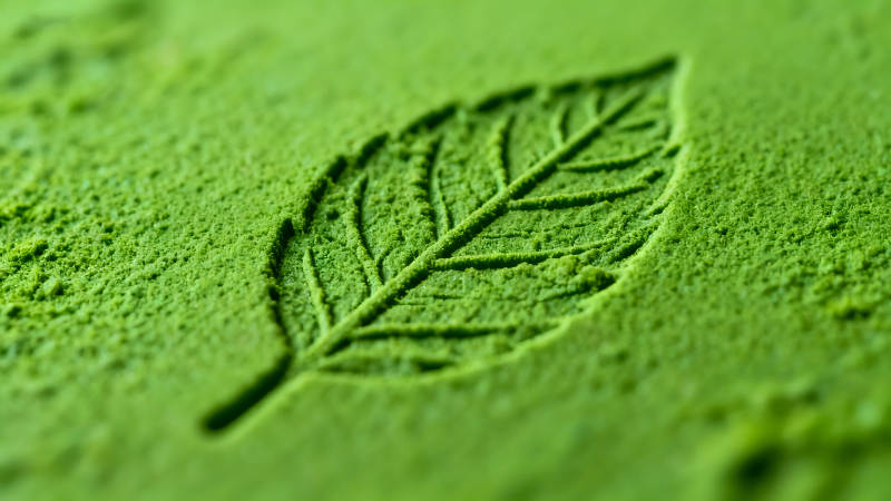 抹茶粉上的叶子印记图片