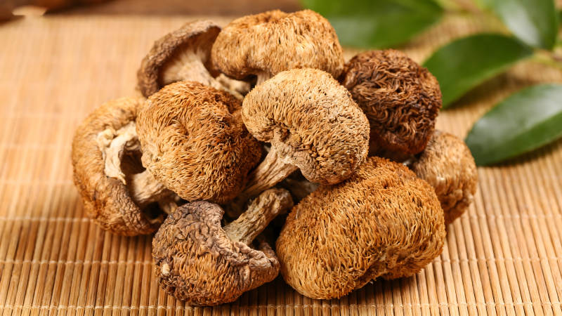 堆叠的猴头菇特写质感十足图片