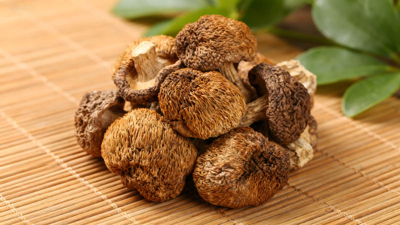 毛茸茸的干蘑菇堆图片