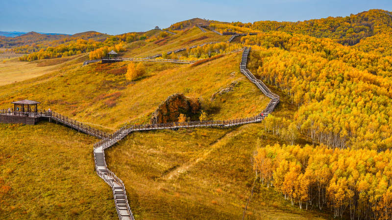 乌兰布统影视基地秋日山林栈道图片