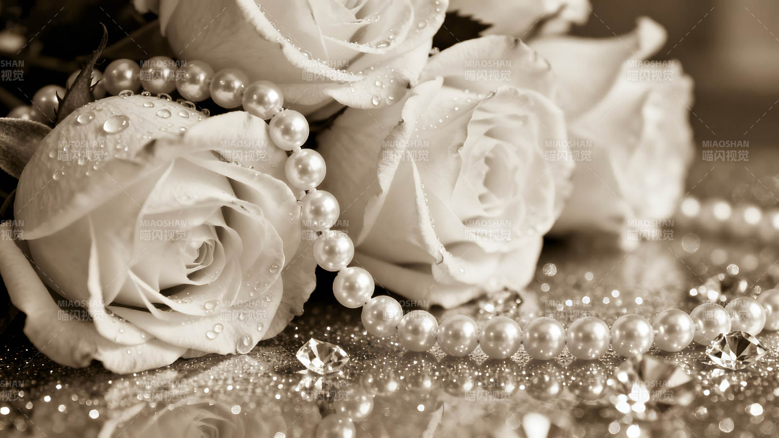 珍珠与白玫瑰的精致组合图片