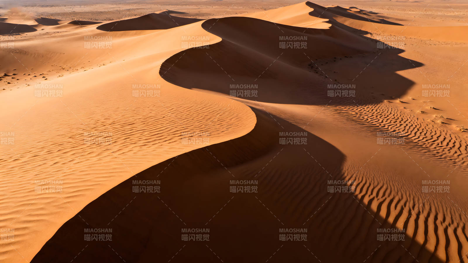 沙漠沙丘的光影艺术图片