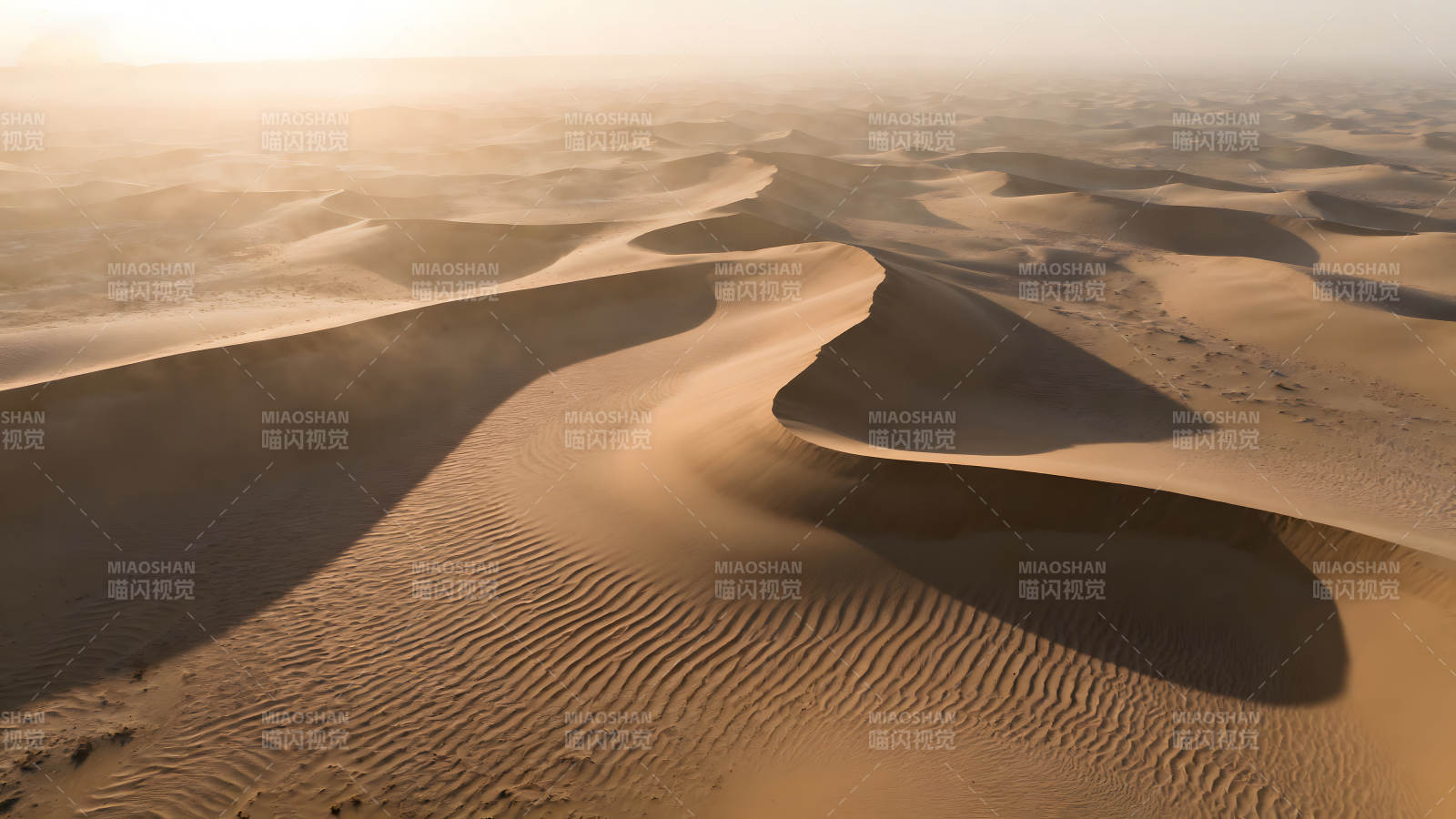 沙漠沙丘光影流淌图片