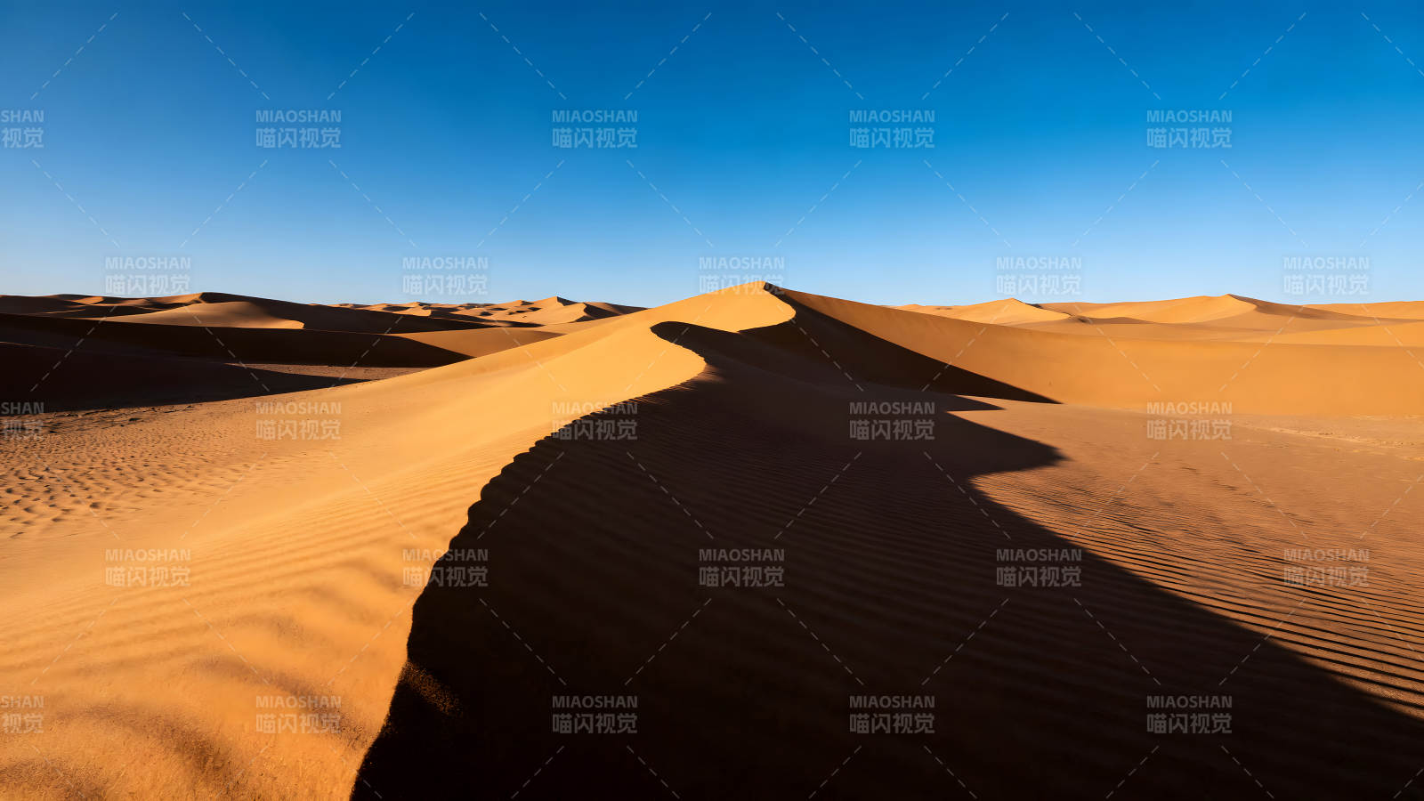 沙漠沙丘在阳光下呈现壮丽景象图片