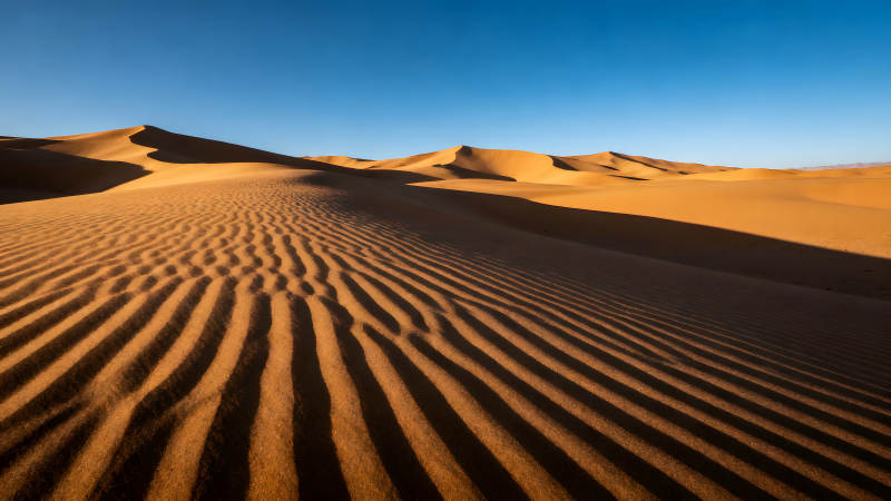 沙漠风光沙丘纹理光影交织图片