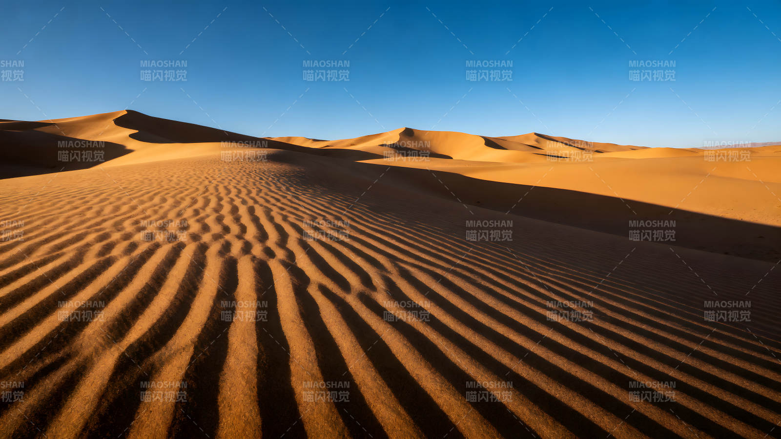 沙漠风光沙丘纹理光影交织图片