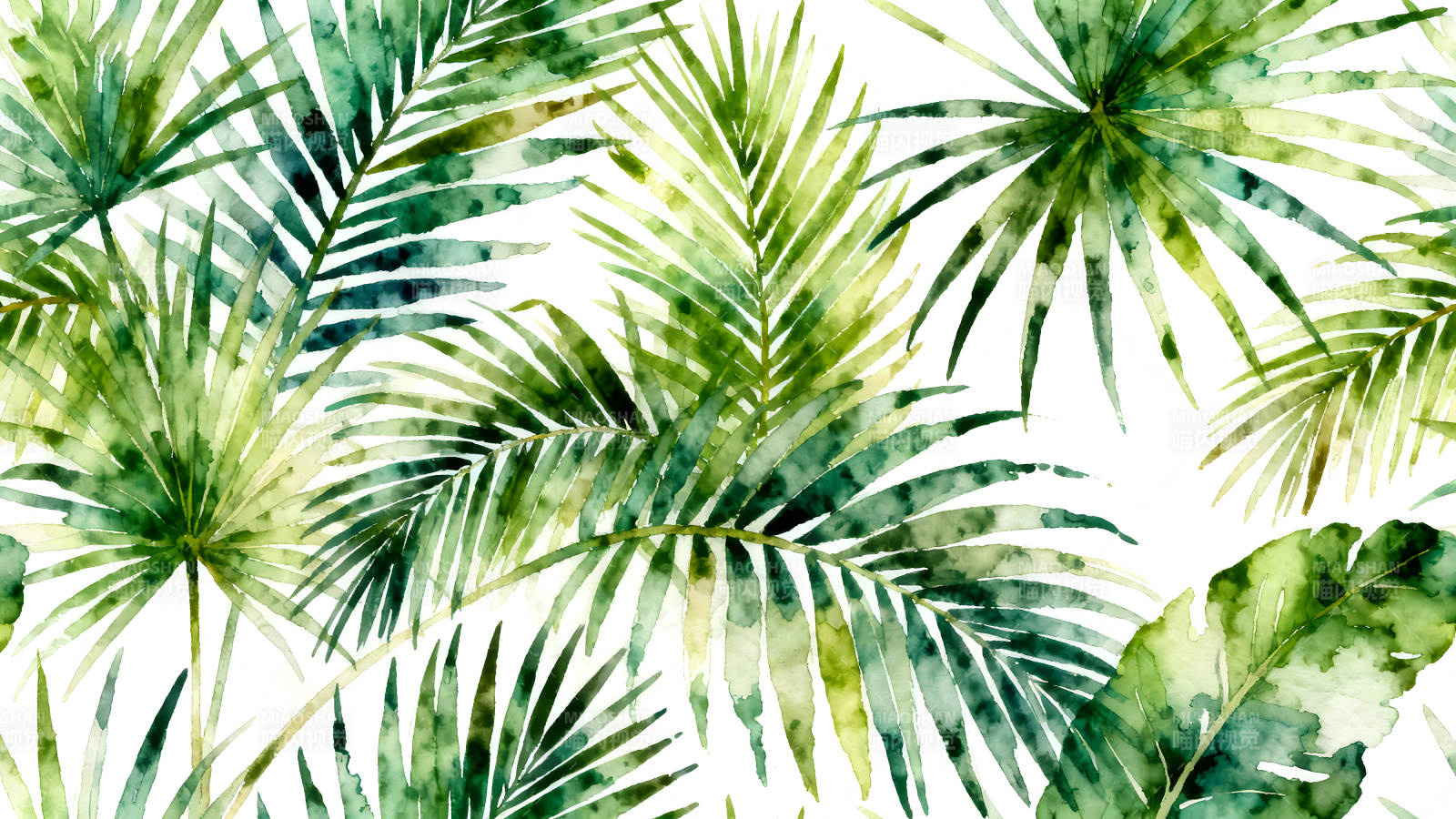 水彩热带叶片清新自然图片
