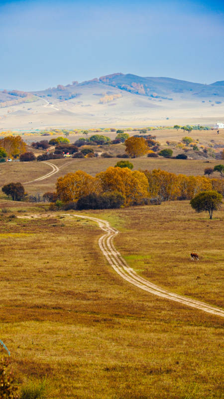 乌兰布统秋野小径图片