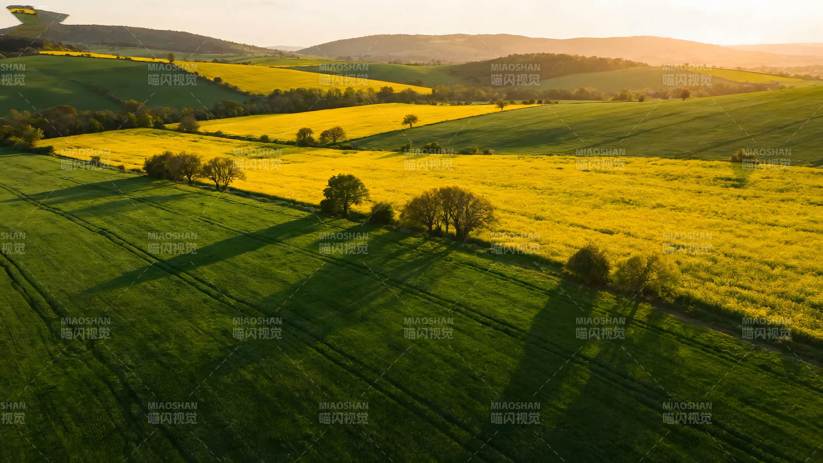 田野风光金黄翠绿图片