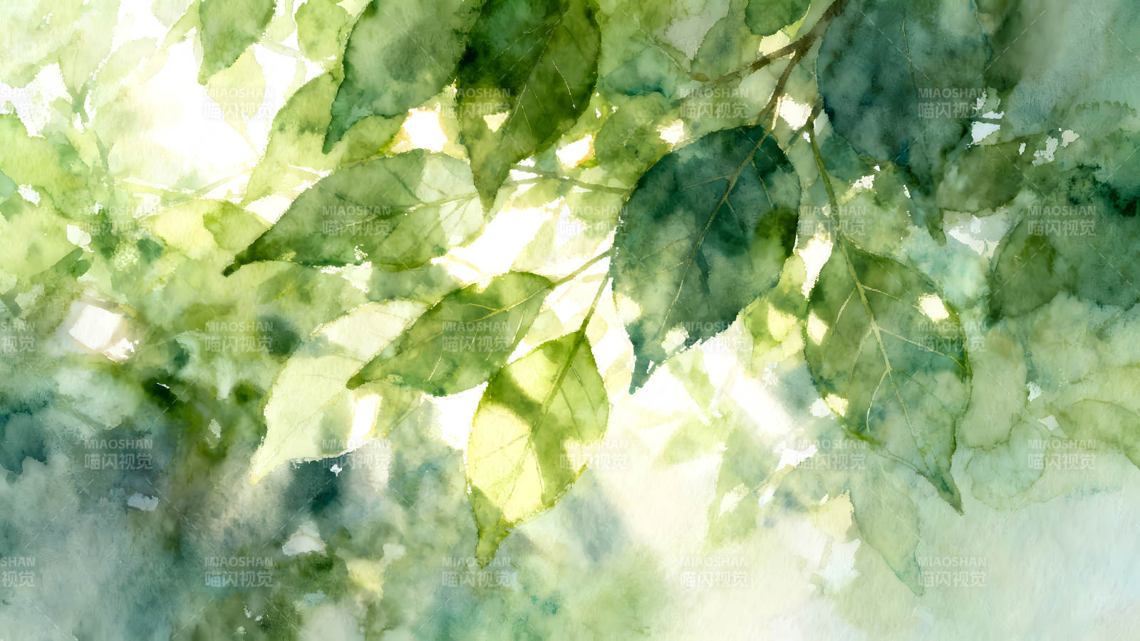 水彩画绿叶阳光洒下清新自然图片