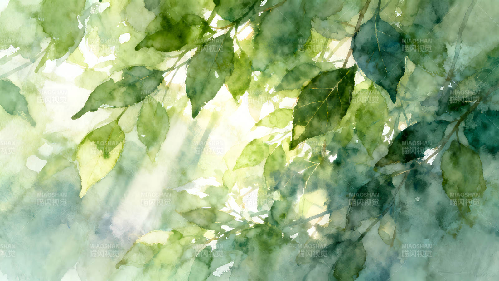 水彩画绿色树叶阳光图片