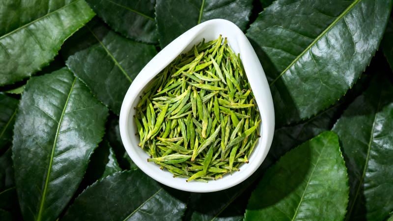 茶叶与叶子特写图片