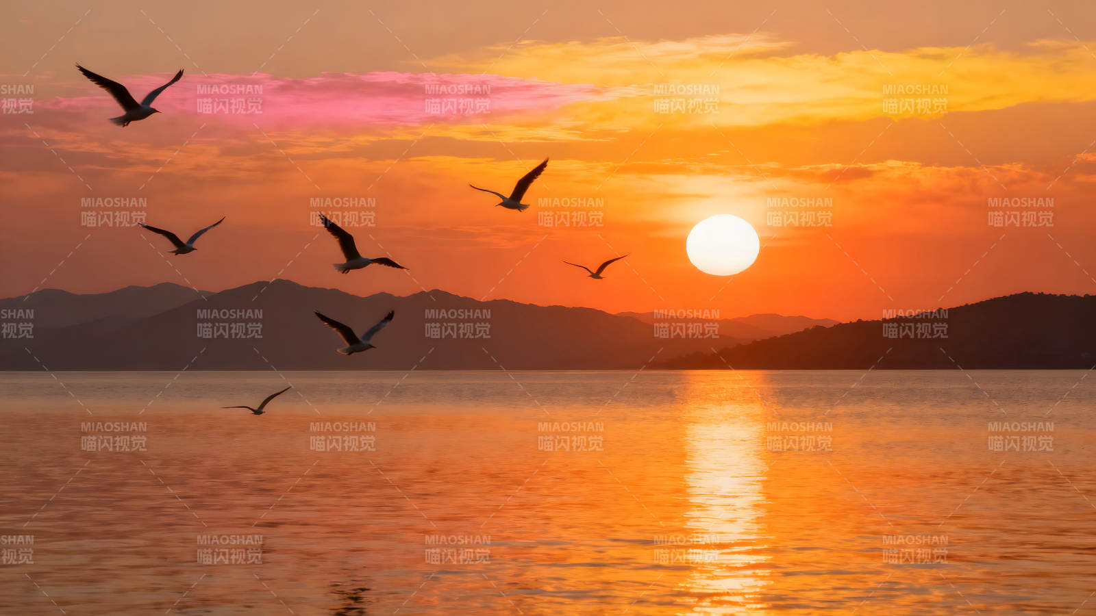 日落时分海鸟飞翔在湖面上图片
