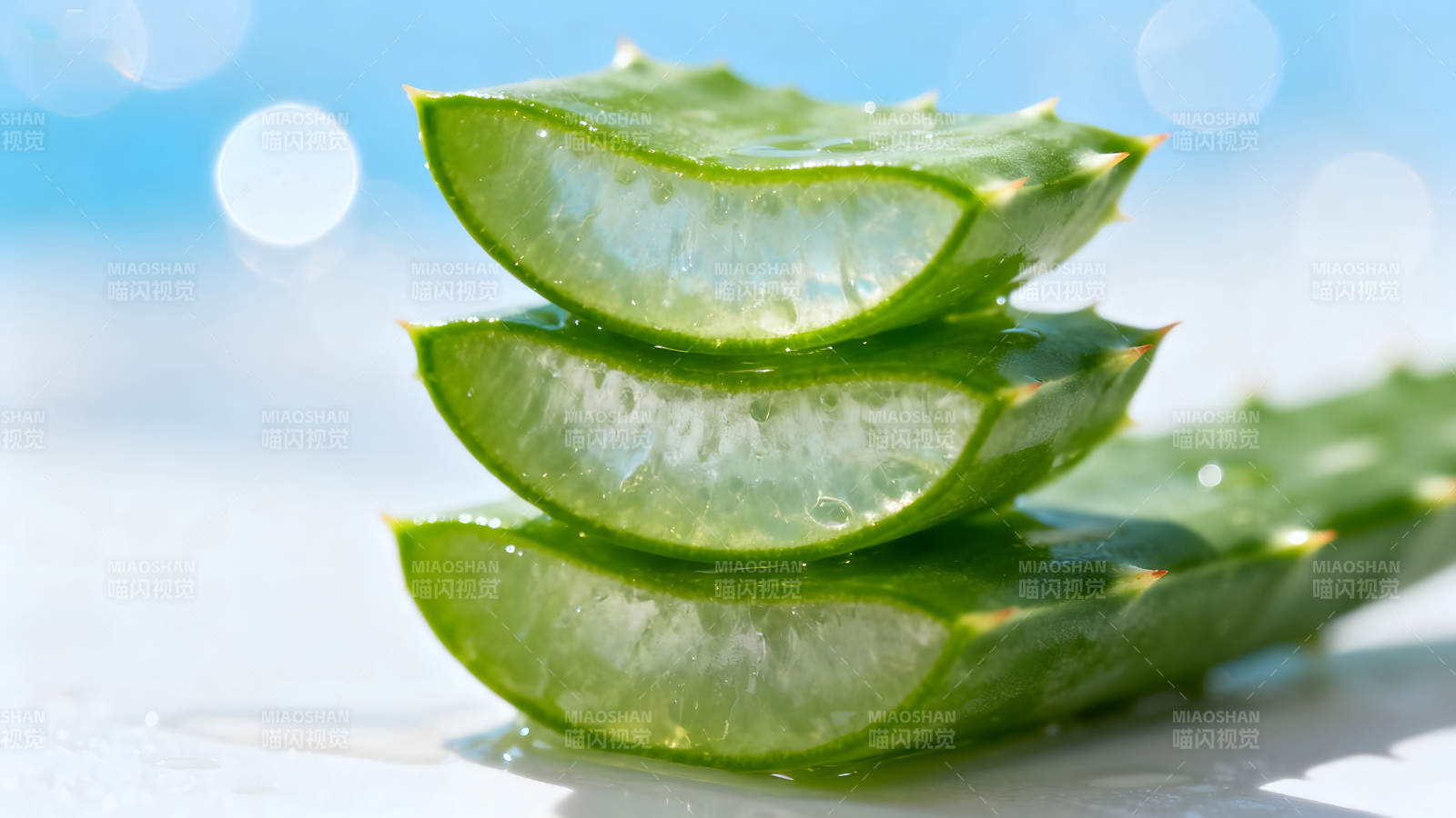 新鲜的芦荟切片特写图片