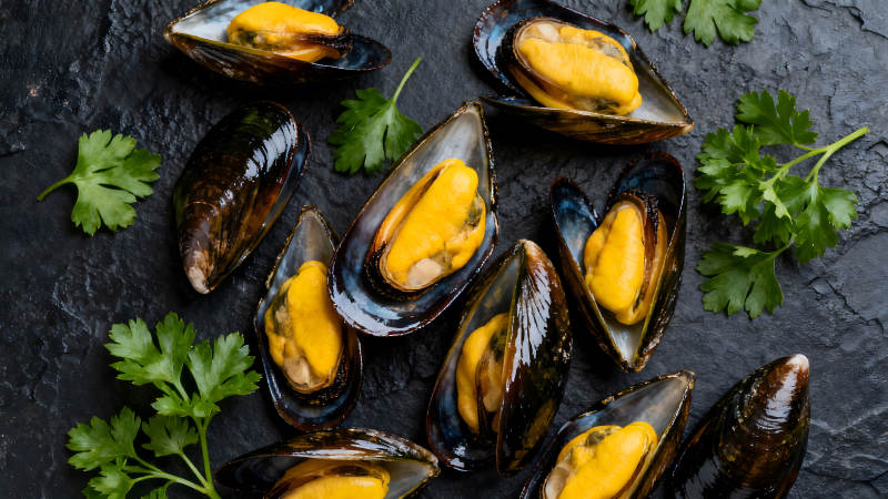 鲜美的熟食贻贝特写图片