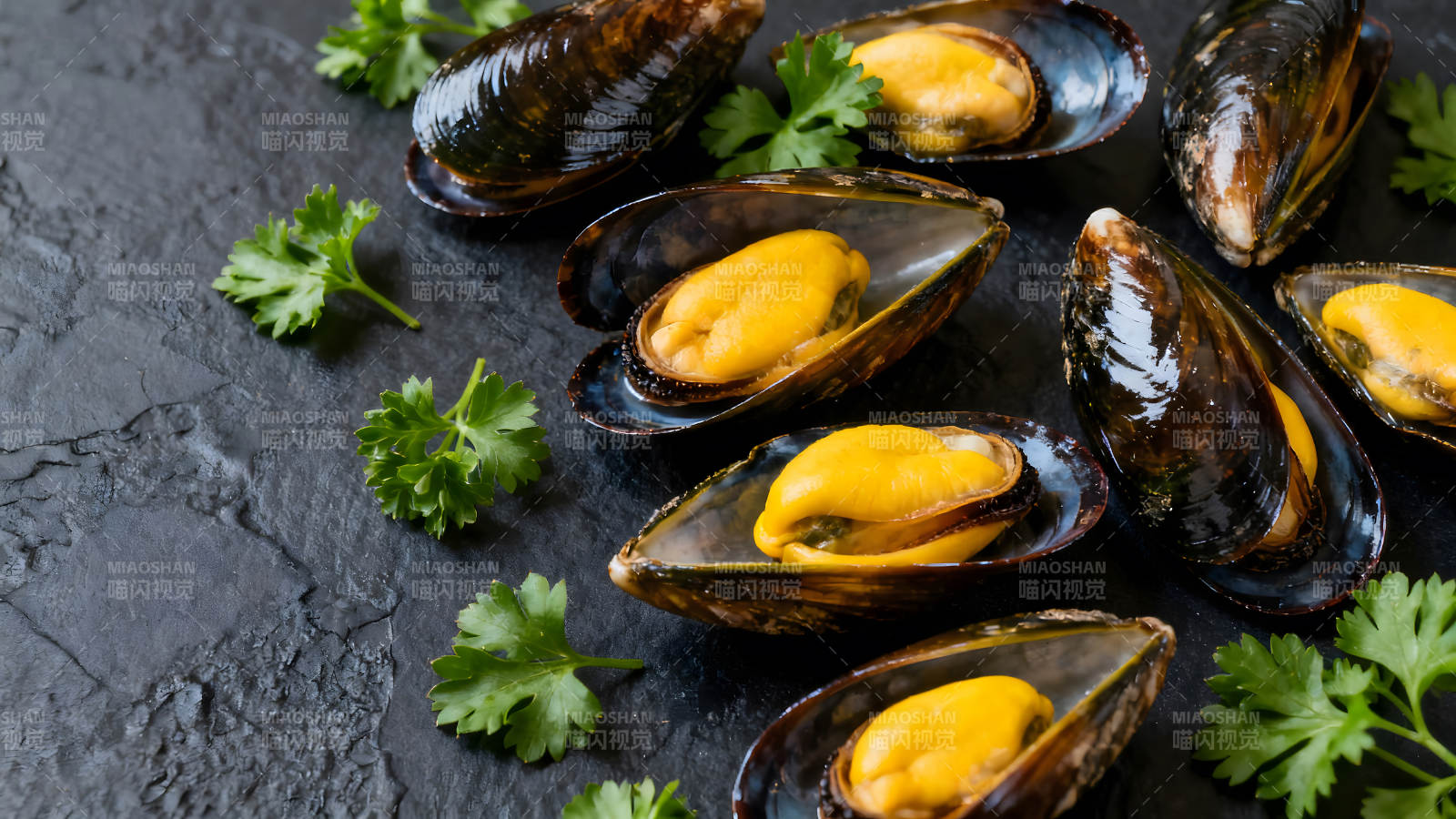 美味的煮熟贻贝配香菜图片
