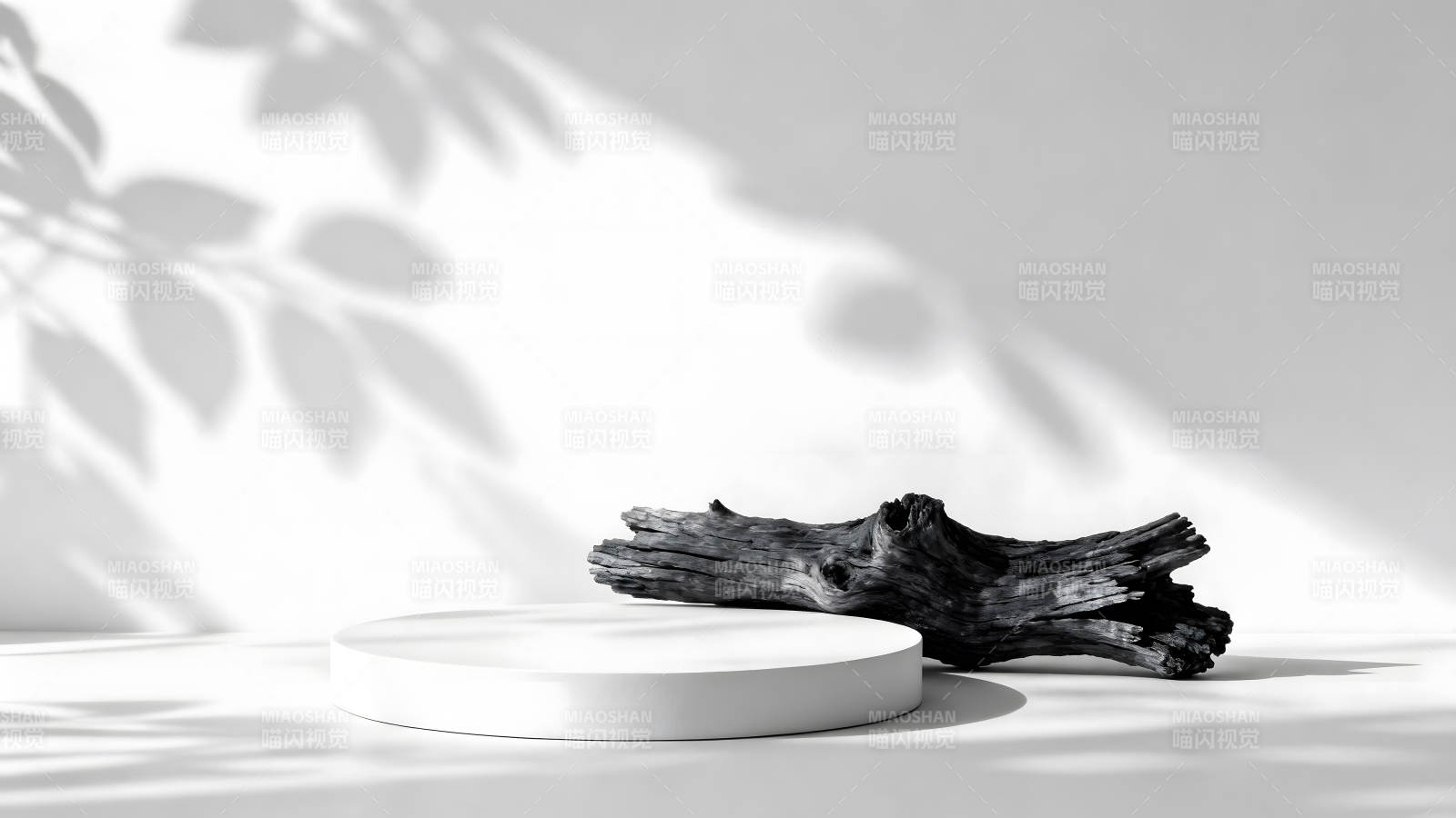 简约白色场景呈现自然元素图片