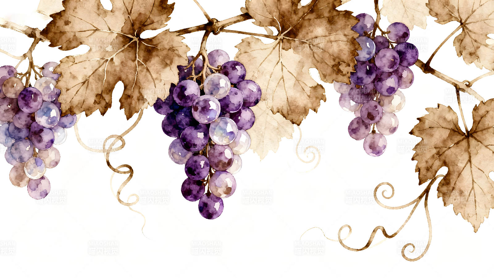 葡萄藤水彩画唯美意境图片