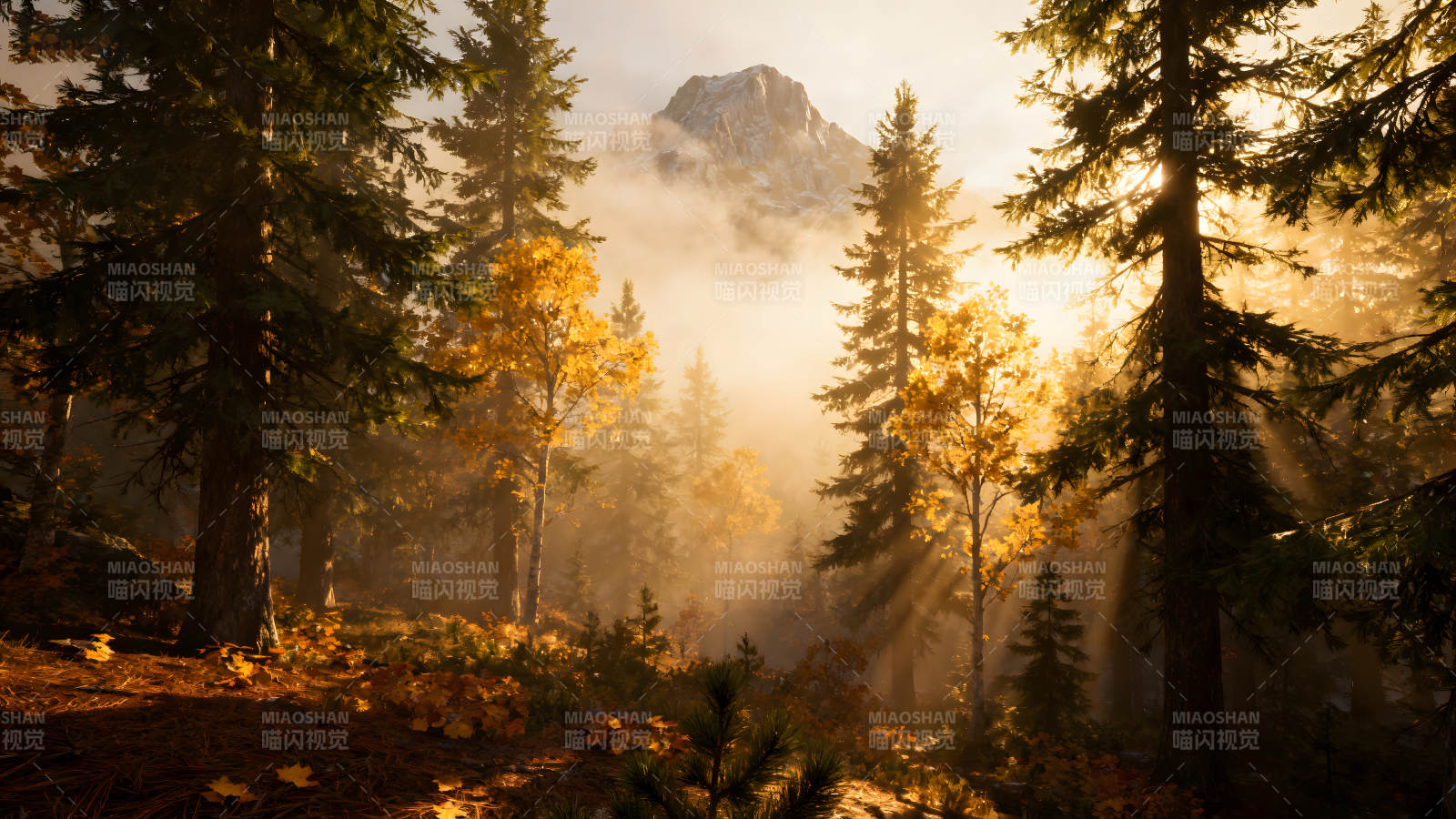 秋日森林阳光穿透云雾笼罩着山峰图片