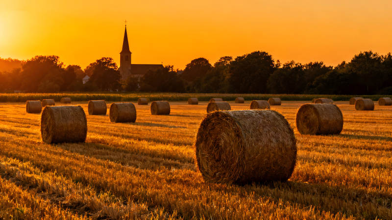 落日余晖下的田野与草垛图片