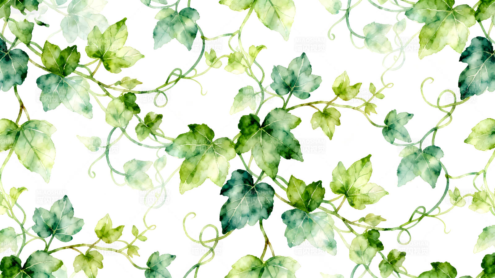 水彩绘制的绿色叶子藤蔓装饰图案图片