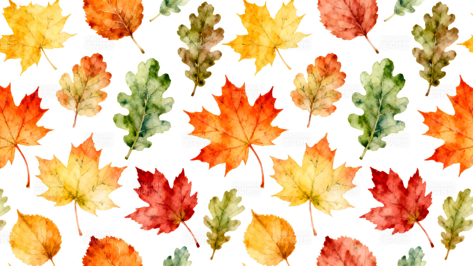 秋天落叶构成的美丽图案图片