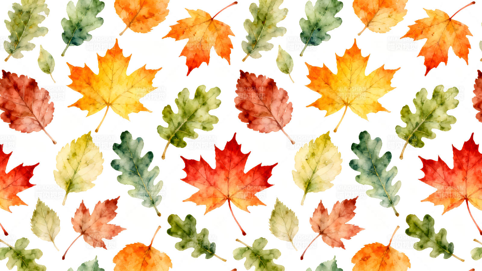 秋日落叶缤纷绚烂色彩斑斓清新自然图片