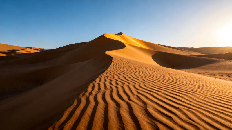 沙漠沙丘在阳光下熠熠生辉图片