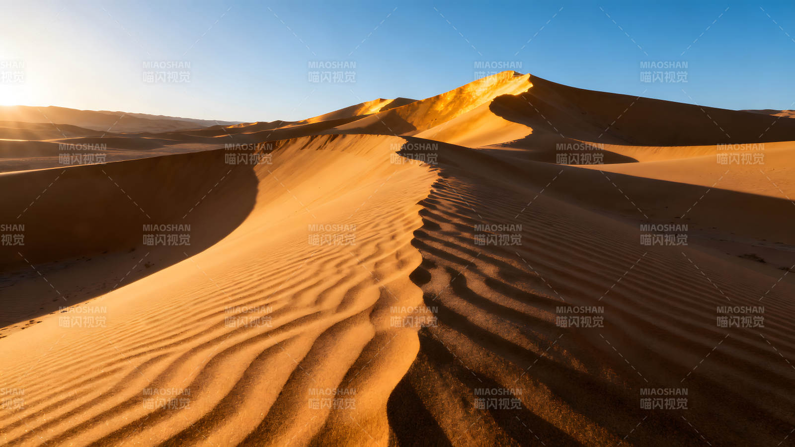 沙漠沙丘在阳光照射下呈现金黄色图片