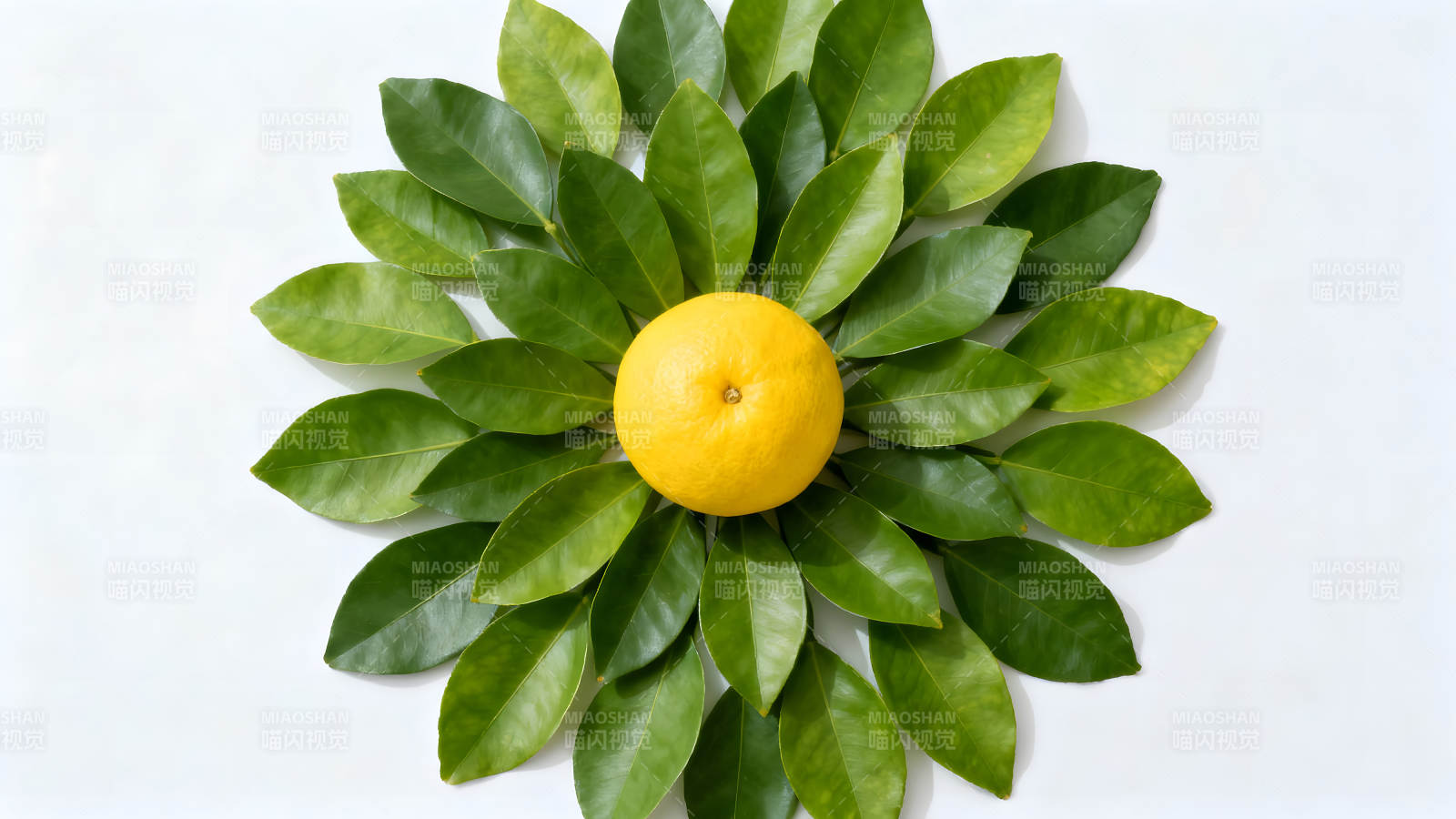 柠檬叶片环绕黄色水果图片