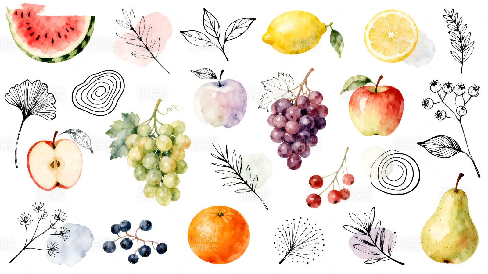 水彩水果和植物元素图片