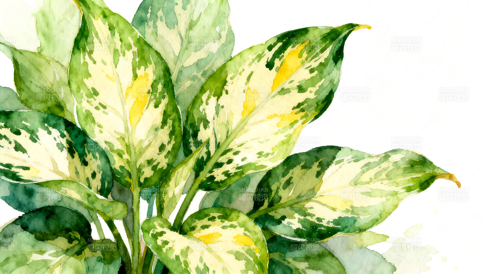 水彩植物绘画展现清新风格图片