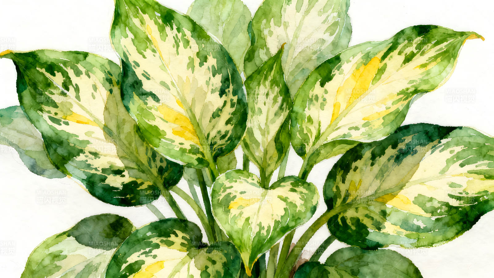 水彩风格绿植写意图片