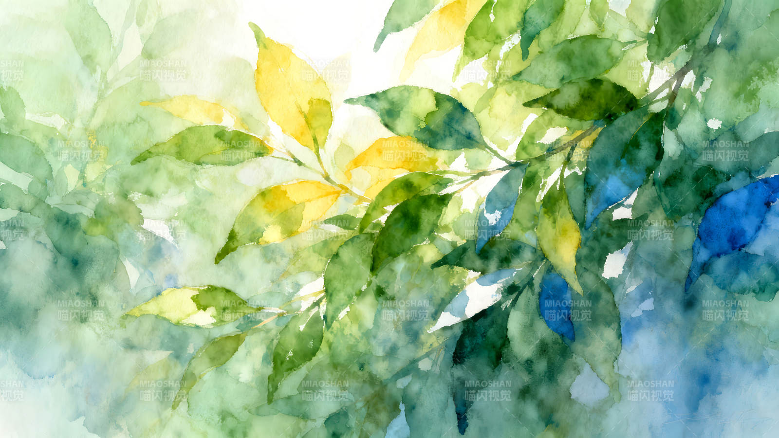 水彩风格的绿叶与阳光图片