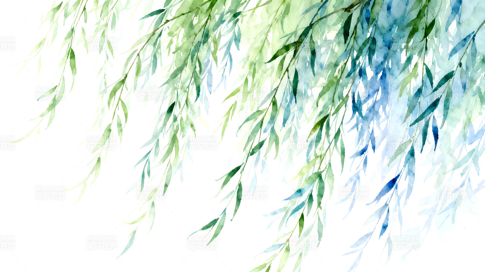 水彩柳枝垂落意境清新图片